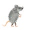 Grey downy mouse Cartoon, mice cute wild or domestic animal, vector character. Rat furry rodent mascot 2020 illustration, isolated