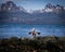 Grey duck flaps wings in front of lake and snow mountains - Ushuaia, Argentina