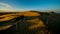 Grey dunes in Lithuania Nida