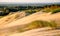 Grey dunes in Lithuania Nida