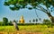 Grey egret bird stand in rice field with big buddha statue and big tree as background