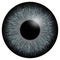 Grey eye iris macro illustration