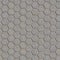 Grey Figured Pavement with Honeycombs.