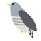 Grey forest bird flat illustration