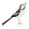 Grey forest bird flat illustration