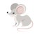 Grey forest mouse. Wood mouse cartoon style design. Flat  illustration isolated on white background. Forest inhabitant. Wild