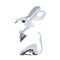 Grey furry cute rabbit looks straight. Isolated on a white background. Easter bunny.