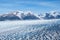 Grey glacier. Torres del Paine National park.