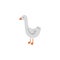 Grey goose standing isolated on white background. Pond swan duck bird vector illustration in cartoon flat style. Cute farm gander