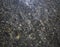 Grey granite texture