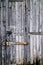 Grey or gray industrial wood grunge door background