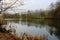 Grey heron at the beautiful lake in Echternach, Luxembourg