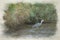 Grey Heron. Digital watercolour painting of Ardea cinerea feeding on fish in the River Trent