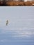 Grey heron on frozen lake