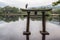 Grey heron on lake kinri torii gate