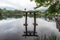 Grey heron on lake kinri torii gate