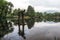 Grey heron on lake kinri torii gate