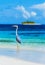 Grey heron on Maldives island