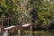 Grey heron perched on rails on a disused oil transfer jetty in Barataria Bayou