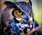 Grey Horned Owl