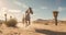 Grey Horse Running in a Sunny Desert