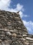 A grey iguana basks in the sunshine of a Mayan pyramid 