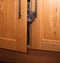 Grey kitten emerging from a cupboard