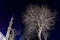 Grey leafless tree and a minaret of Blue Mosque at night