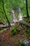 Grey Mares Tail Waterfall