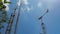 Grey metal windmills rotate near green tree under blue sky