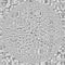 Grey Microscopic Virus Desease Abstract Background