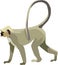 The Grey Monkey Mammal Animal Vector