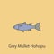 grey mullet-hohopu 2 colored line icon. Simple purple and gray element illustration. grey mullet-hohopu concept outline symbol des