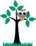 A grey owl sitting in a tree