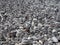 Grey pebbles and stones on a beach arranged into a large collection of piles and towers filling the frame