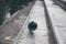 Grey pidgeon walking on some cement steps with a pond in the background