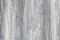Grey pine wood wall texture. Interior decoration and design use