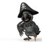 Grey pirate parrot cartoon thinking about with copy space