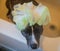Grey Pitbull terrier have a bath