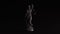 Grey Polished Stone Lady Justice Statue the Personification of the Judicial System