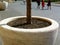 Grey precast concrete tree planter in urban setting. grey cobblestone pavement. people walking by