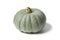 Grey pumpkin named Confection