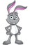 Grey Rabbit Character