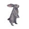 A grey rabbit stands isolated on a white background. Watercolor illustration of the Easter bunny. Cute pet on the farm. Realistic