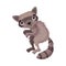 Grey Raccoon with Striped Tail as Forest Animal Vector Illustration