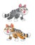 Grey and red vector cats