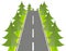 Grey road with green fir on the roadside, vector