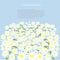 Grey road with white daisies on the green roadside, blue sky, background, vector