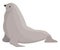 Grey sea lion, icon