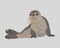 Grey seal laying on the ground. Isolated vector drawing of a sea lion in full size.